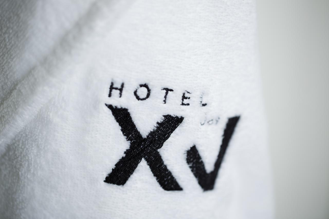 שטרסבורג Boutique Hotel Des XV מראה חיצוני תמונה
